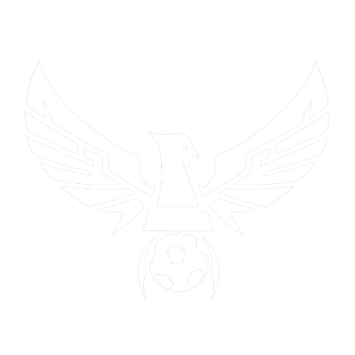 Icarus Athlete